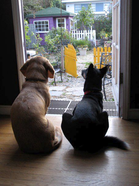 At Kitshouse did you say Squirrel ?