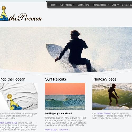 ProFromGo Web Design Project: ThePocean