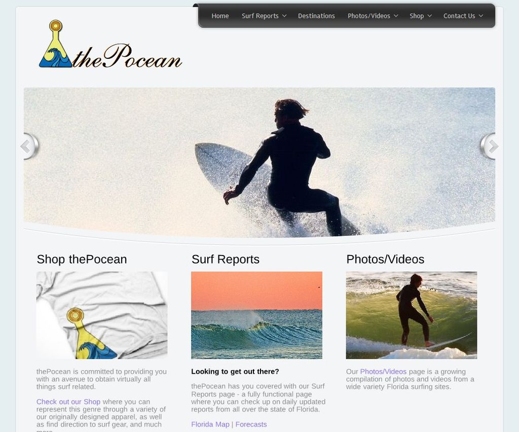 ProFromGo Web Design Project: ThePocean