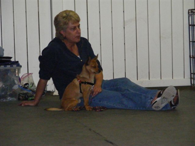 Listening during puppy class