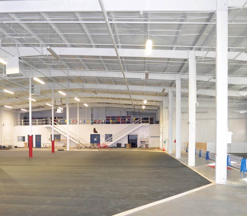 Grand Rapids Indoor Dog Daycare and Boarding Facil