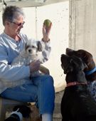 Grand Rapids Dog Daycare