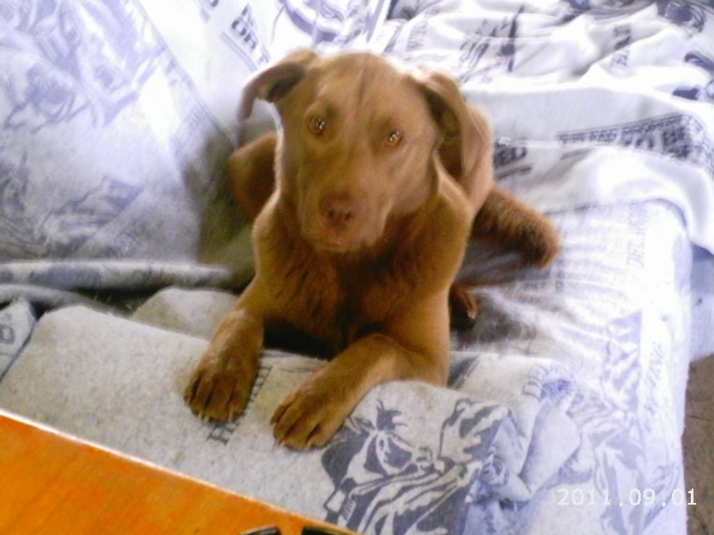 My trusted assitant