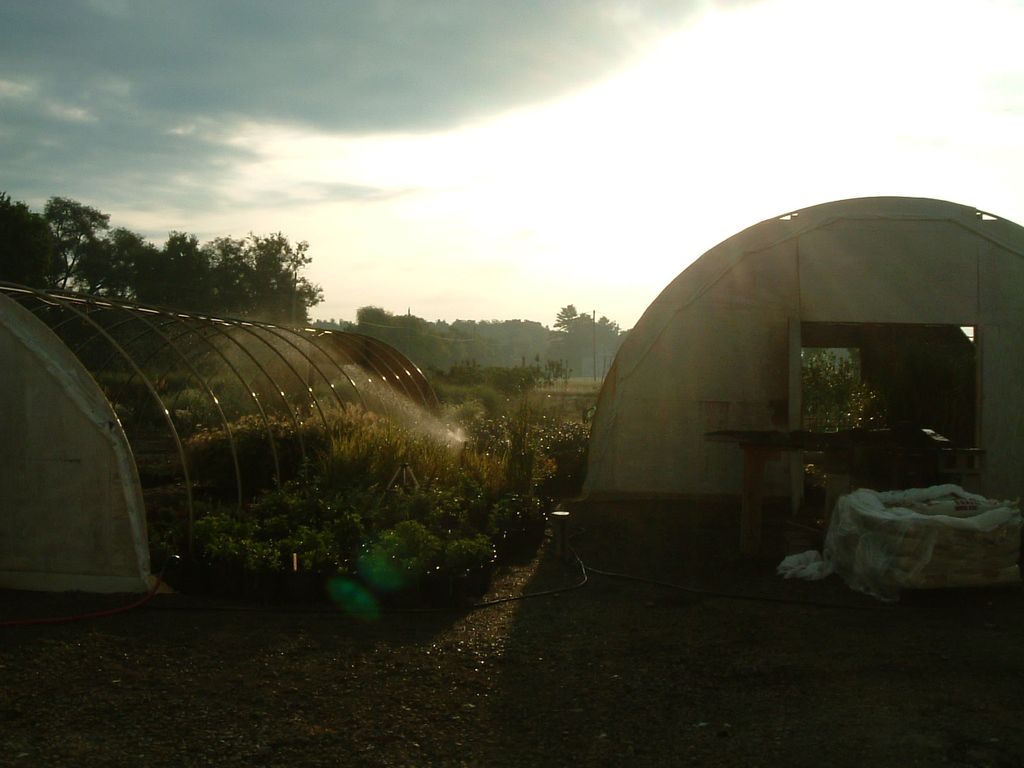 We grow 1400 different species of plants on our nu