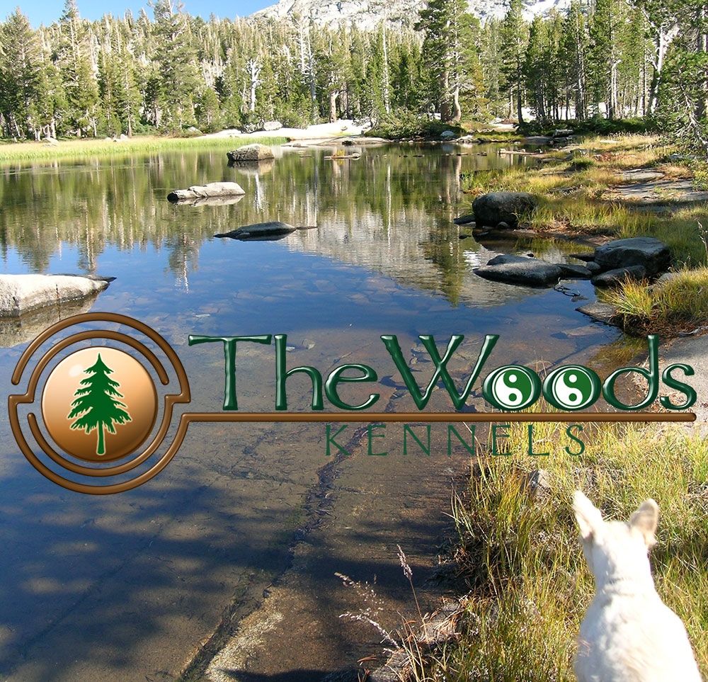 The Woods Kennels
