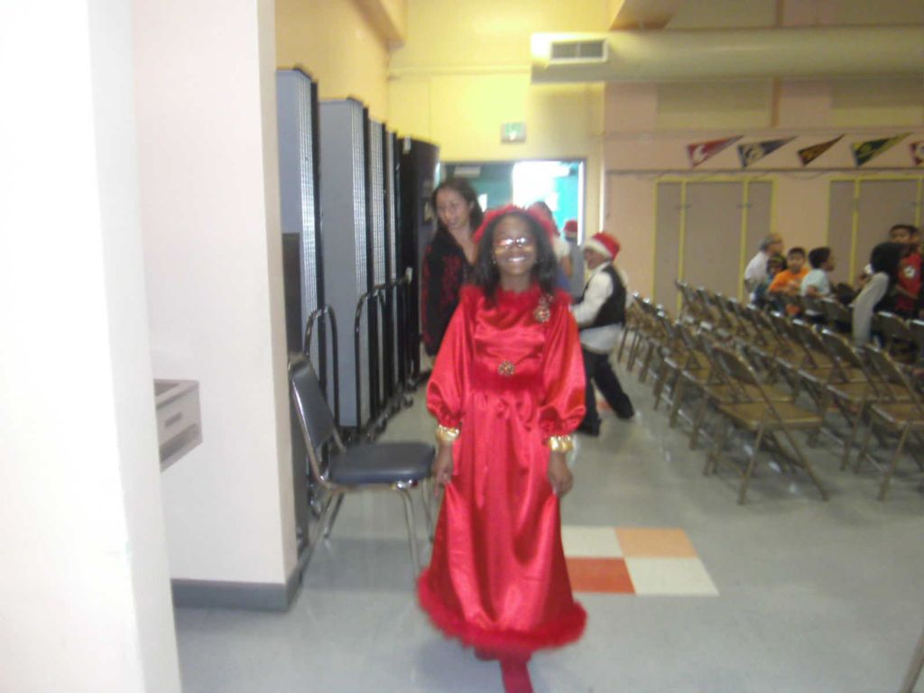 Dress is trimmed in narrow boa. Made with stretcha