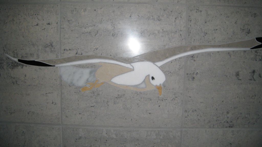 That's right.  DMJ services also does tile waterje