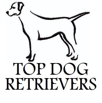 Top Dog Retrievers