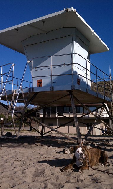Me and my Agnes at Sycamore Canyon Beach. It's dog
