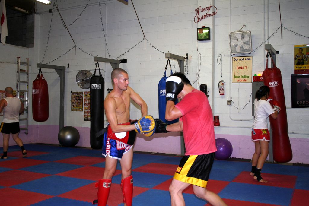 Training with pads with the instructor