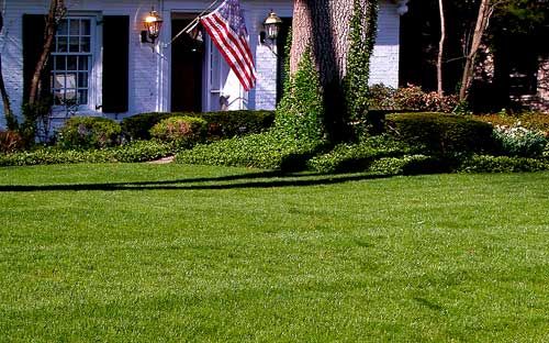 lawn mowing