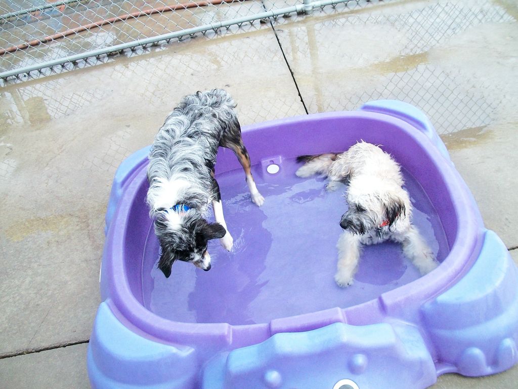 Summer fun in the pools