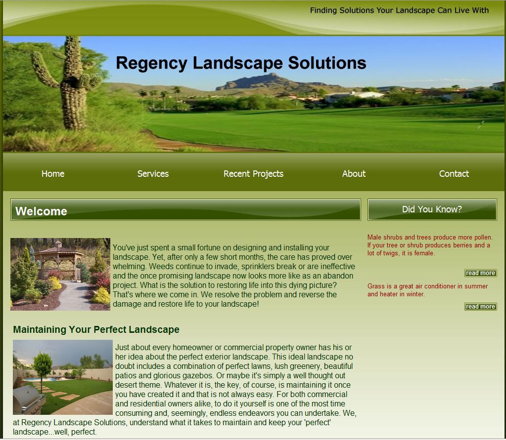 Recently designed web site