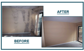 Mold Removal_ before and after