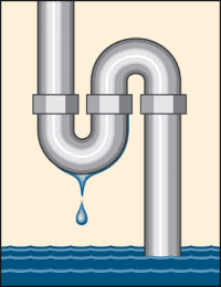 Unfixed leaks contribute to the growth of mold