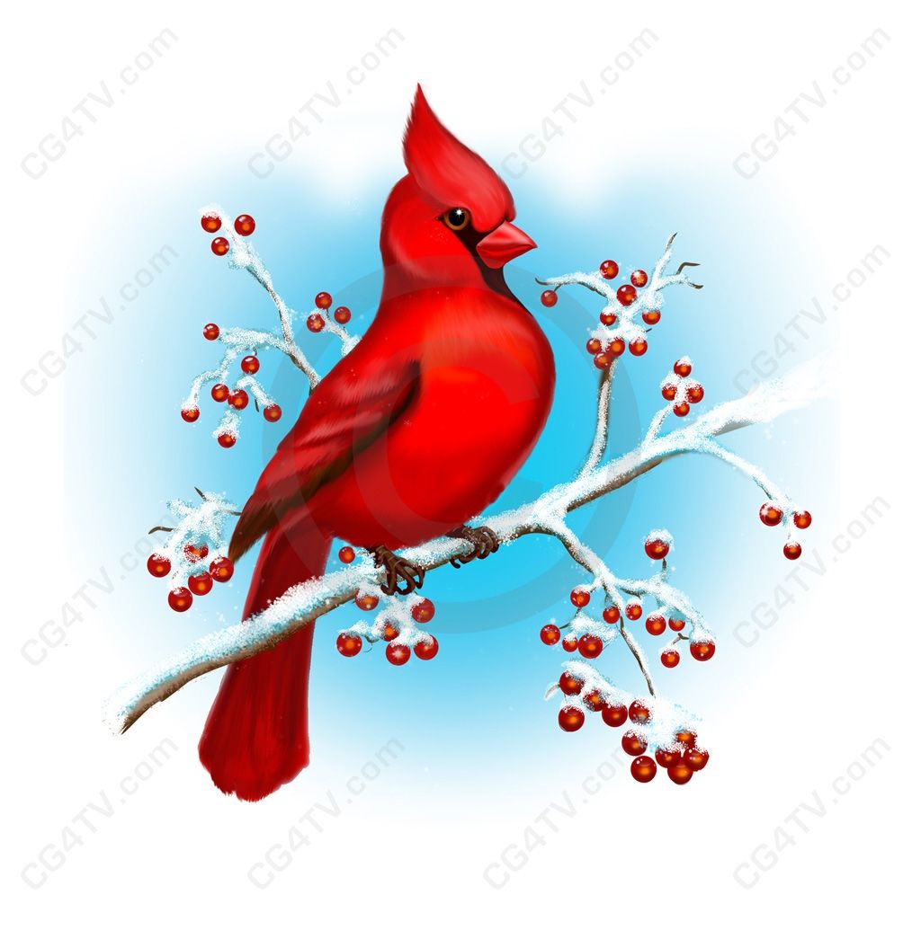 Cardinal Management