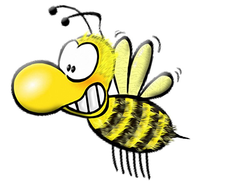 Phoenix Bee Removal LLC