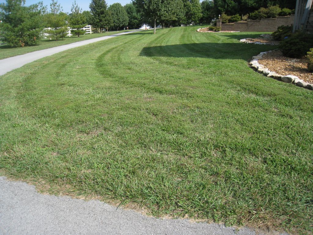 Ace Lawn Care