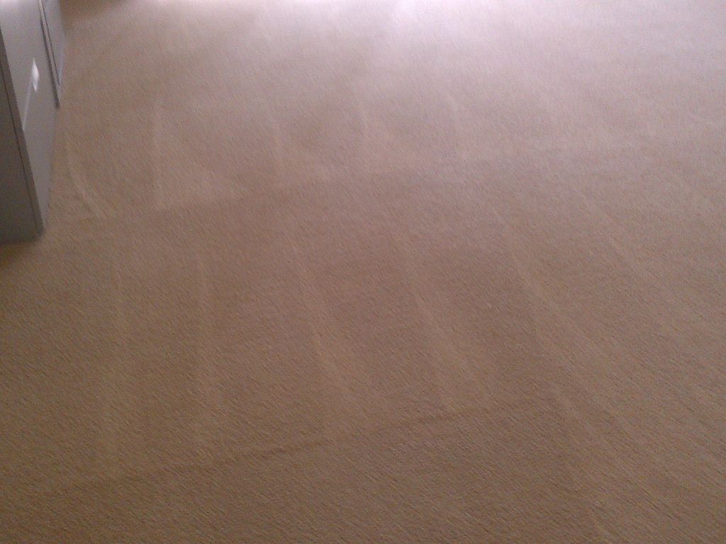 After cleaning with CitruSolution