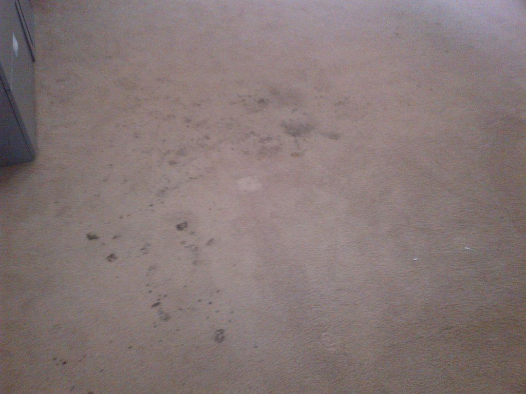 Before cleaning