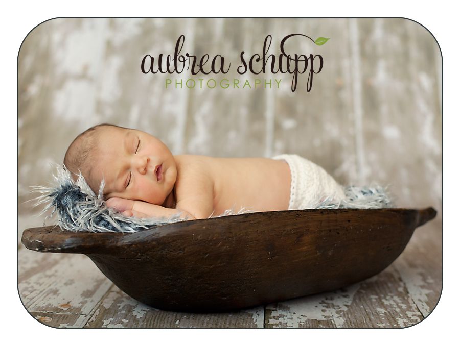 Aubrea Schupp Photography