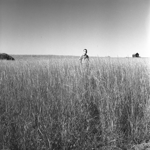 Family wheat farm, South Dakota 1949