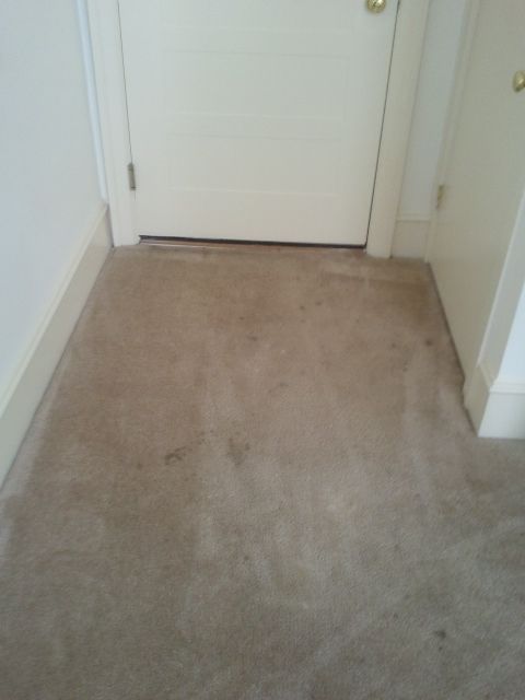Before cleaning