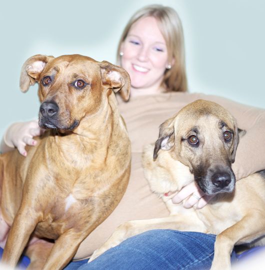 Capture Pet Photography