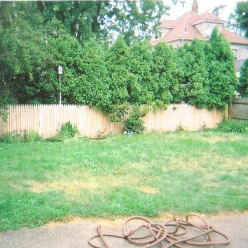 My backyard when I first bought my house in 2005