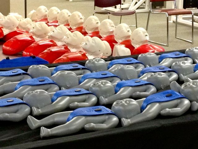 100 CPR Manikins for large groups