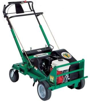 We offer aeration and power raking services as wel