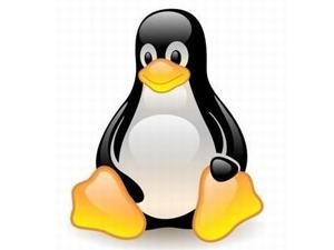 Linux Support and Web Hosting