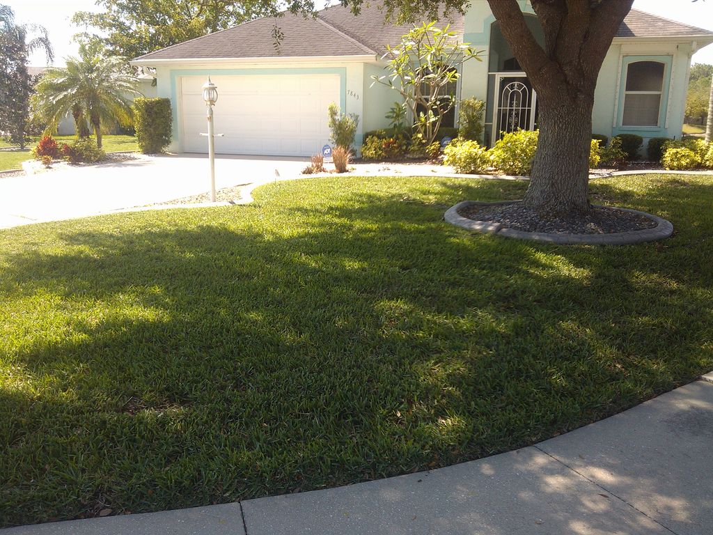 A lovely M. Ramirez Lawn