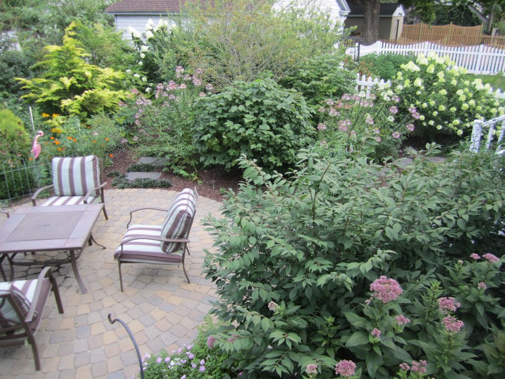 My yard - I'm an avid gardener!