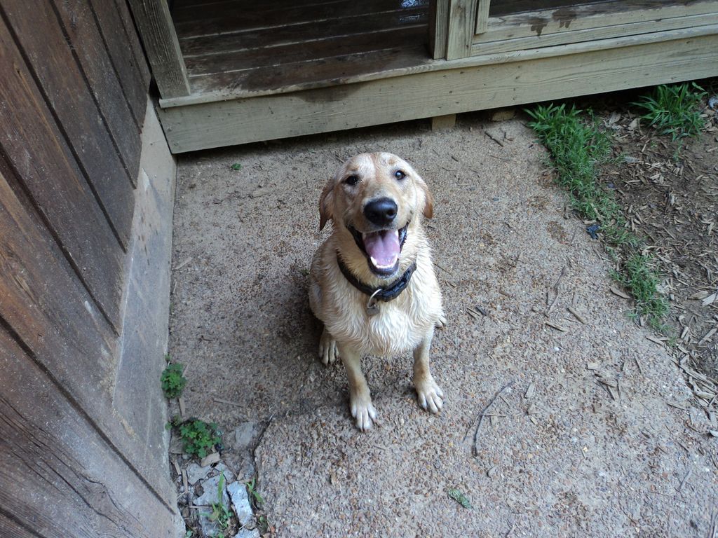 Ella... Wet and Tired!