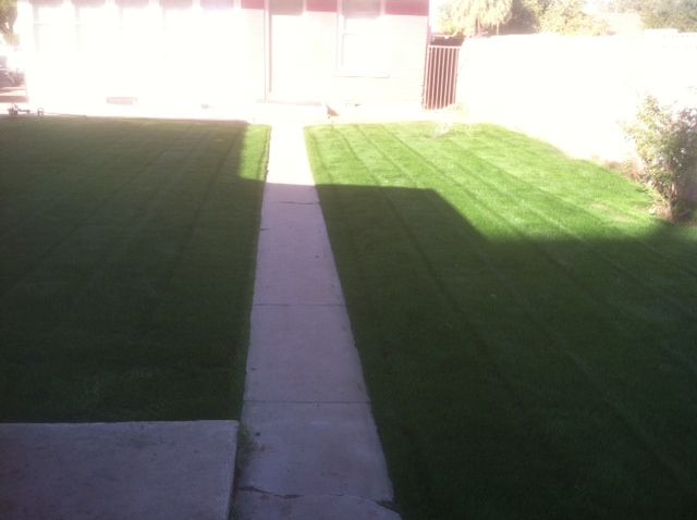 After: Complete Sprinkler System install with sod