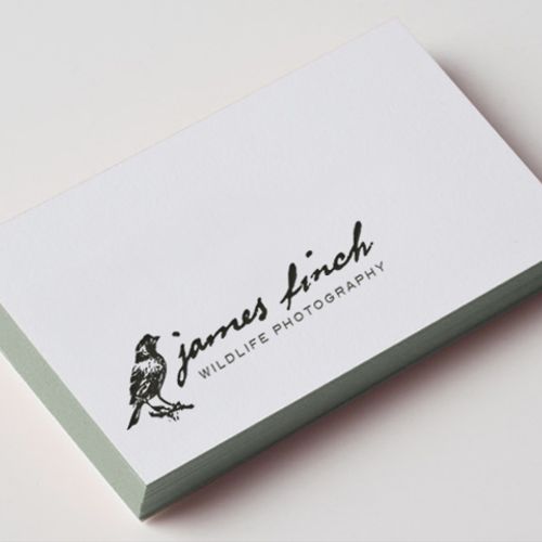 Sample business card design for James Finch, Wildl