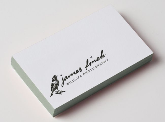 Sample business card design for James Finch, Wildl