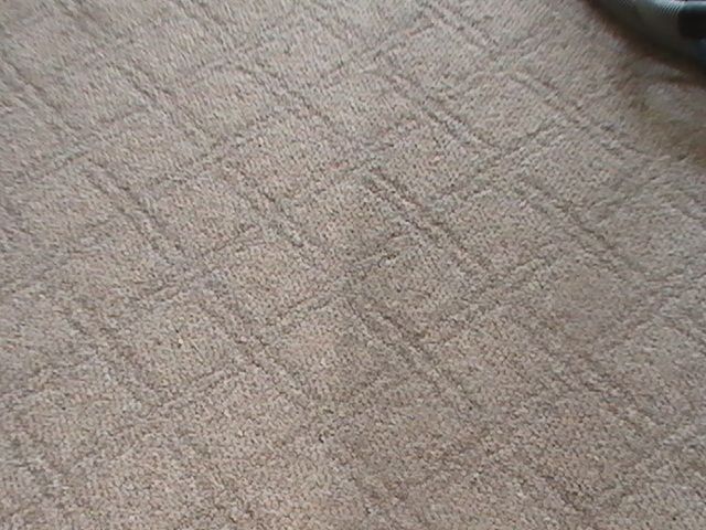 Cleaning of Berber carpets