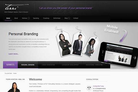 TLT Consulting Services Website