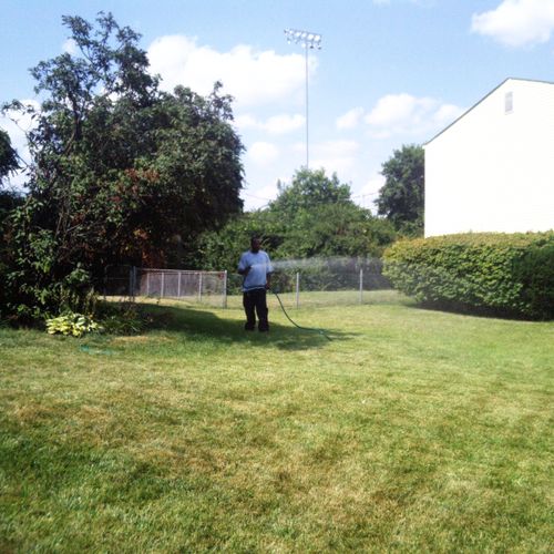 Fertilizing a lawn to keep it 
beautiful and green