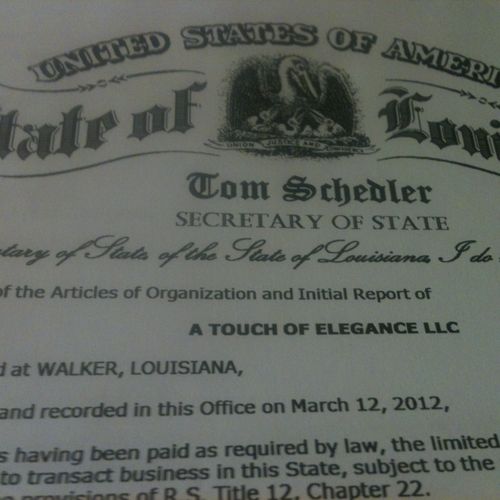 copy of business license