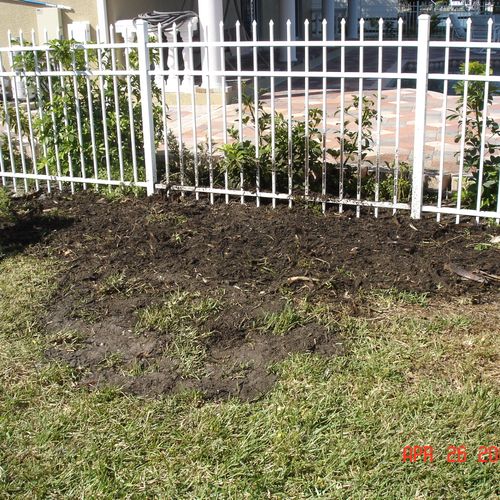 Area ready to replant grass