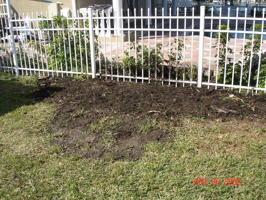 Area ready to replant grass