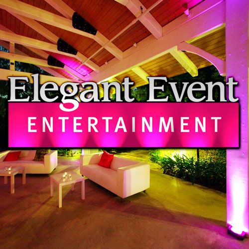 Elegant Event Entertainment Lighting