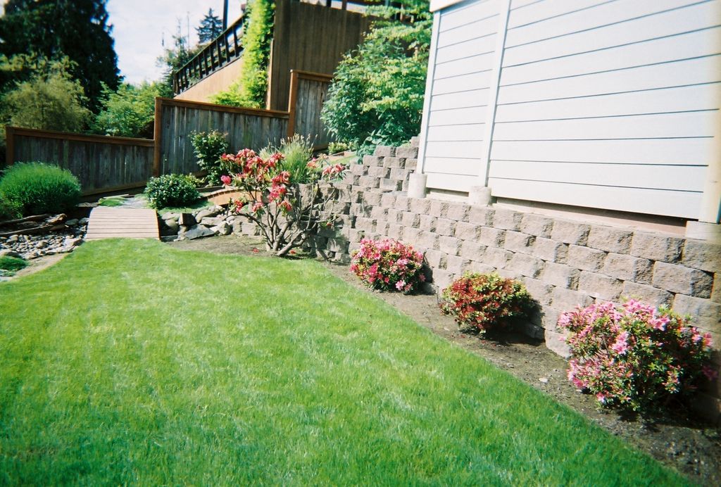 Design for a small yard?
