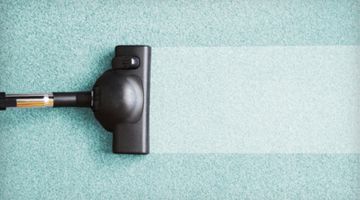 Personalized Cleaning - Michigan Carpet Cleaning S