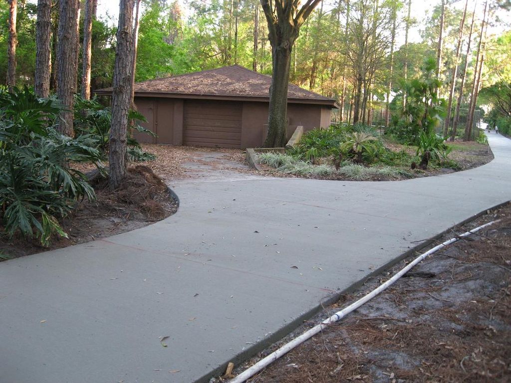 Concrete Driveway in woods
