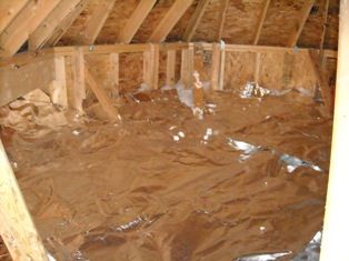Insulated