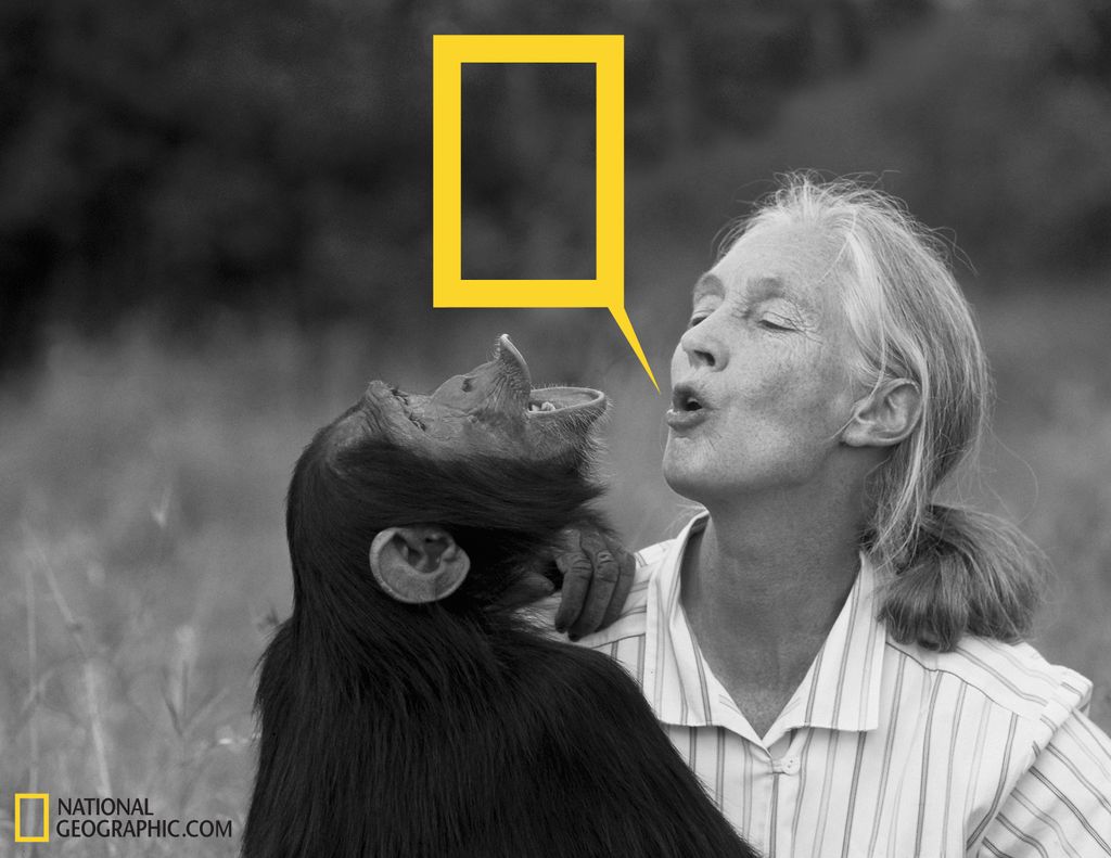 National Geographic Campaign

Student Work